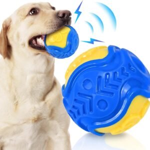Squeaky Dog Ball Toy