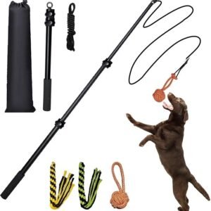 Heavy-Duty 40-Inch Extendable Flirt Pole for Dogs